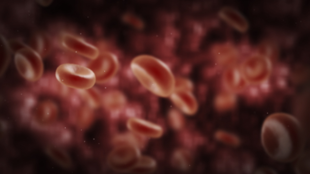 Blood Cells